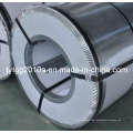 Galvanized Cold Rolled Steel Sheet